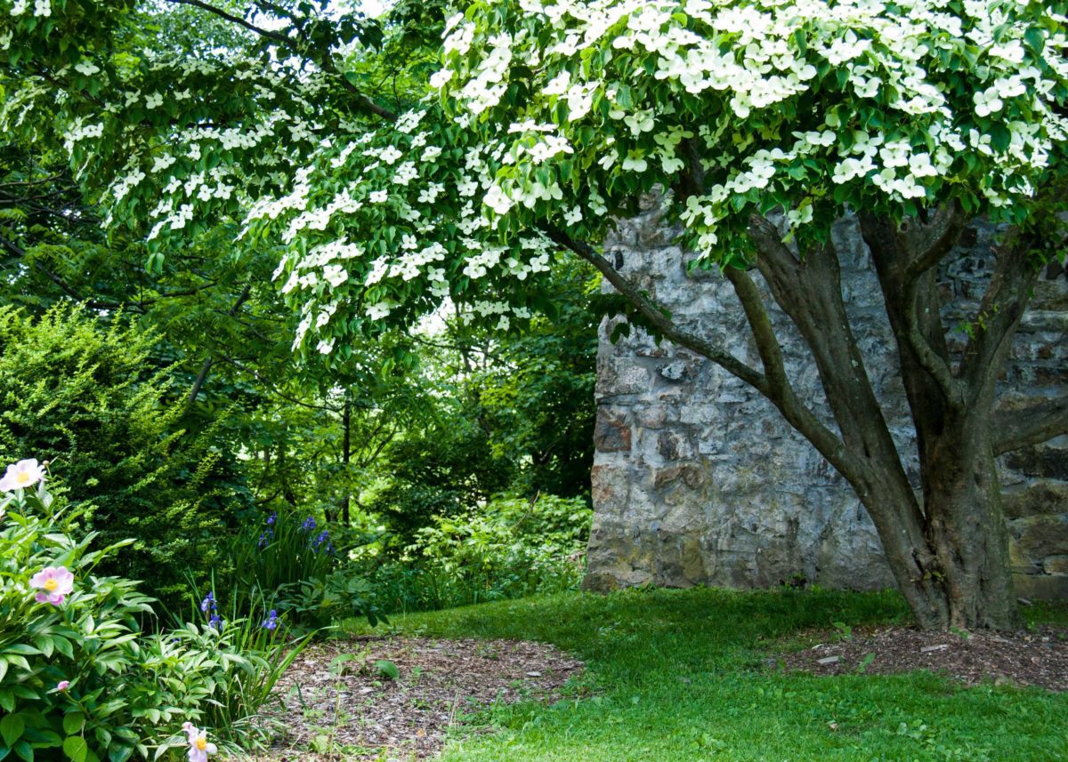 Tarrywile Mansion Grounds Old Water Cistern