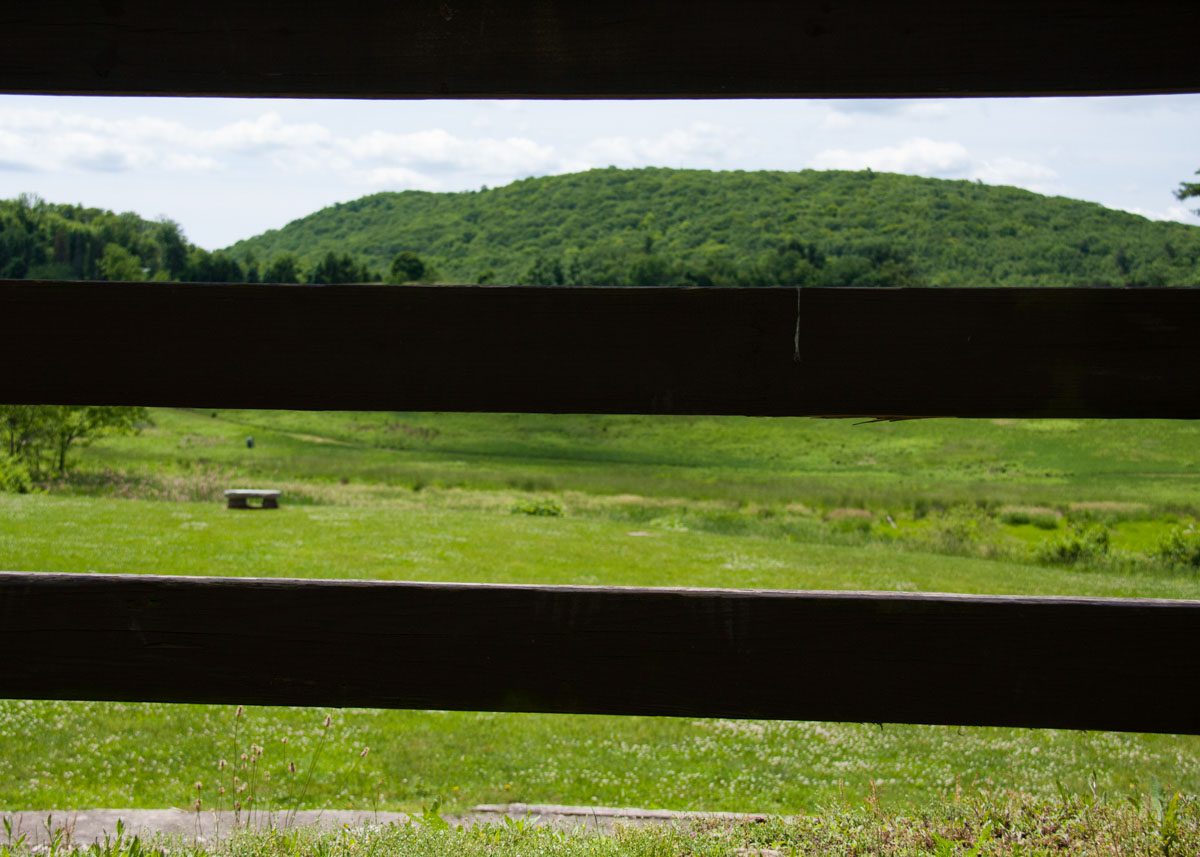 Tarrywile Park Red Barn Vista's hayfields-through-red-barn-fence