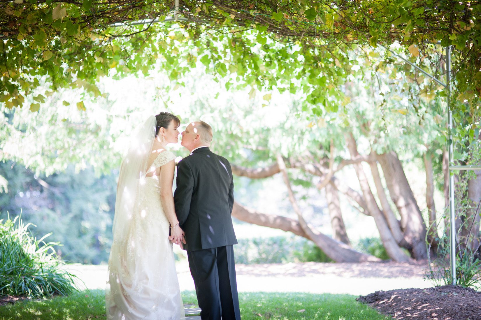 Weddings at Tarrywile Mansion couple kissing under grape arbor