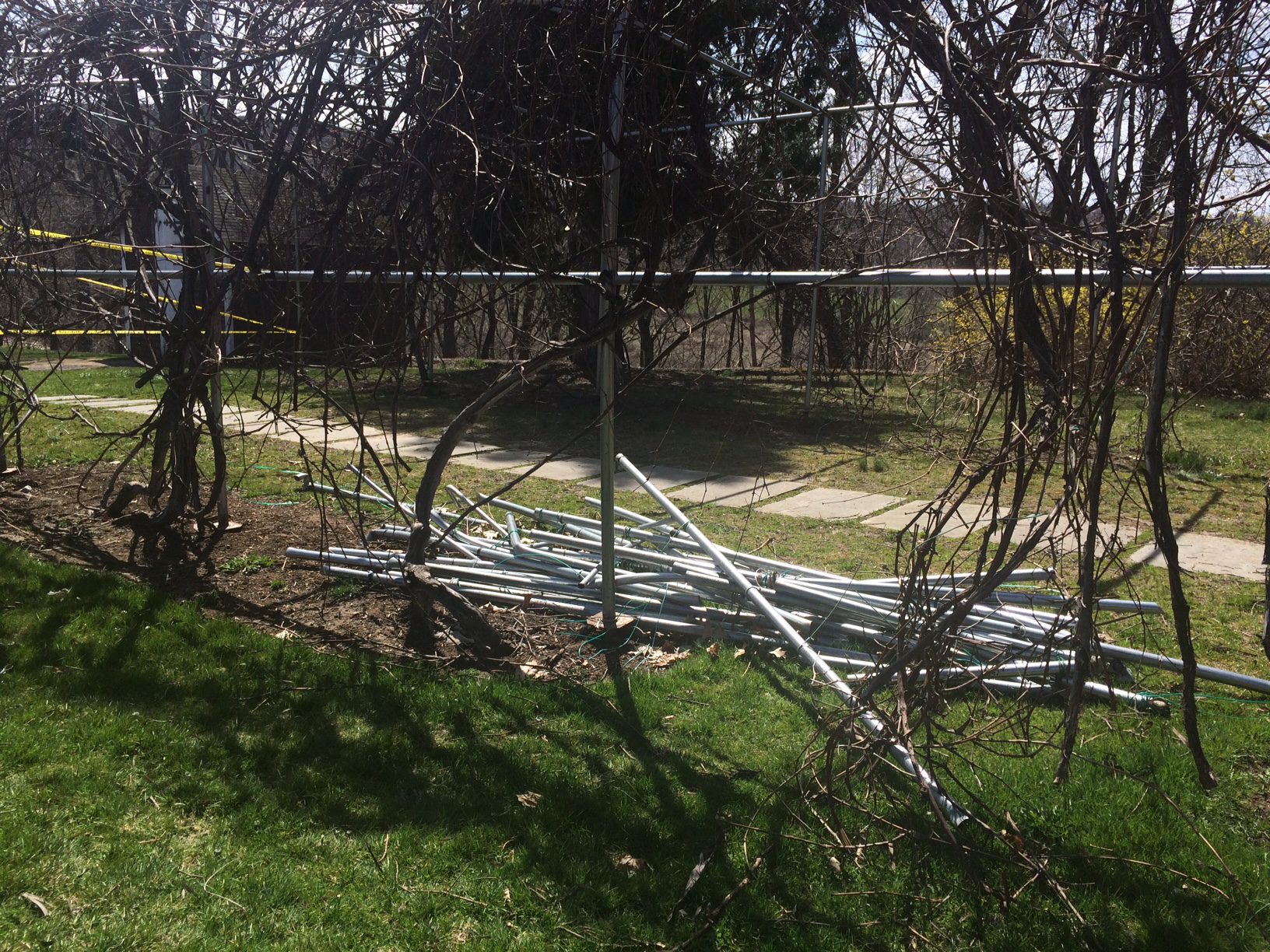 Tarrywile Park Grape Arbor Structural Damage